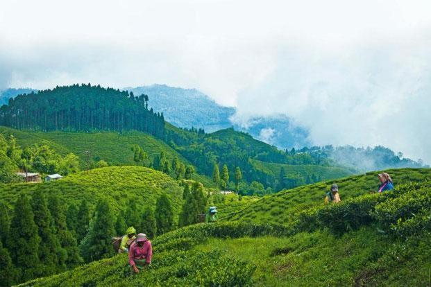 Hotel Central View - Darjeeling Darjeeling  Esterno foto